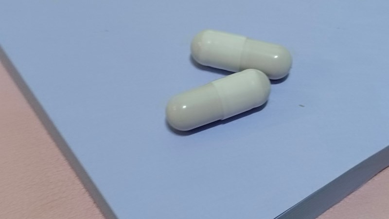 試用